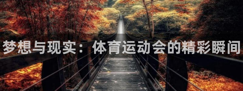 凯发官方正版app新能源：梦想与现实：体育运动会的精
