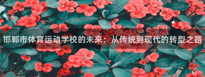 注册凯发官方正版app：邯郸市体育运动学校的未来：从