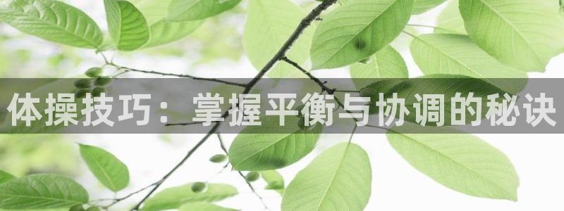凯发官方正版app娱乐首页官网下载：体操技巧：掌握平