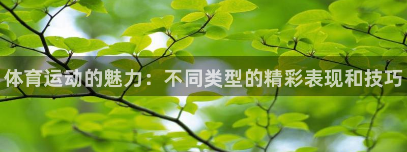 凯发官网下载平台注册要钱吗：体育运动的魅力：不同类型