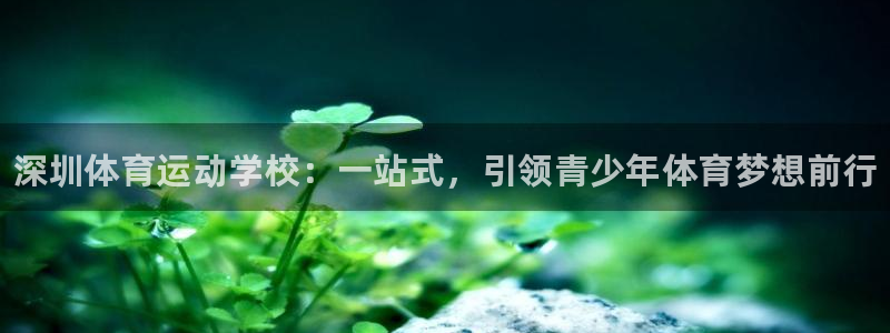 凯发官网下载招商电话：深圳体育运动学校：一站式，引领