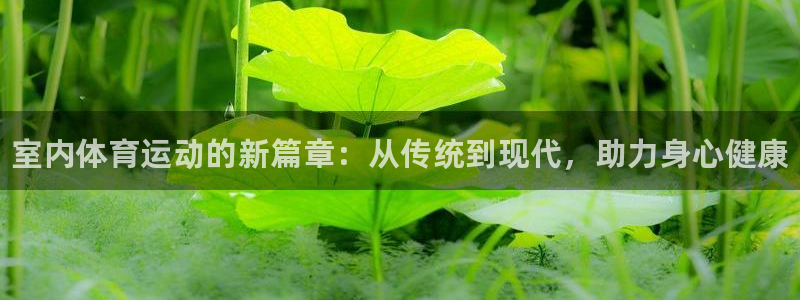 凯发官方平台体育：室内体育运动的新篇章：从传统到现代