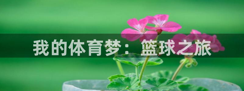 凯发官方正版app娱乐：我的体育梦：篮球之旅