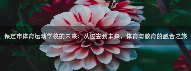 凯发官方正版app娱乐网站：保定市体育运动学校的未来：从过去