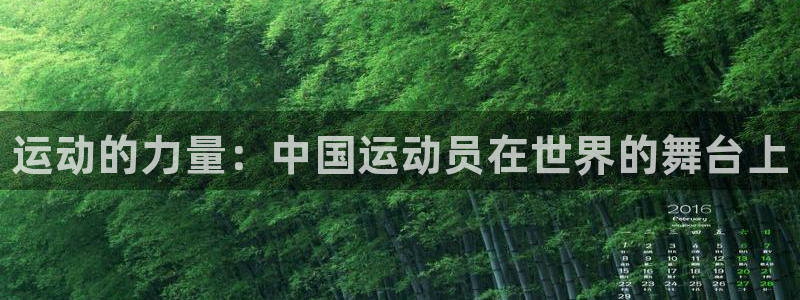 凯发官网下载招商电话是多少号码