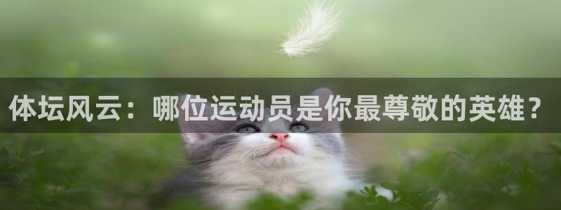 凯发官方正版app娱乐网站：体坛风云：哪位运动员是你