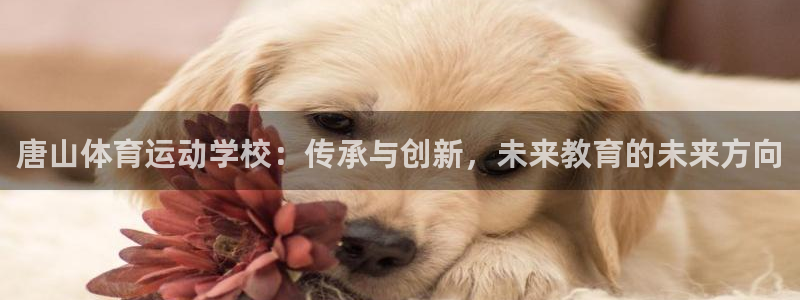 凯发官网下载平台注册要钱吗是真的吗：唐山体育运动学校