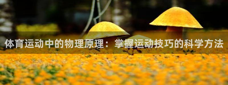 凯发官网下载招商电话号码：体育运动中的物理原理：掌握