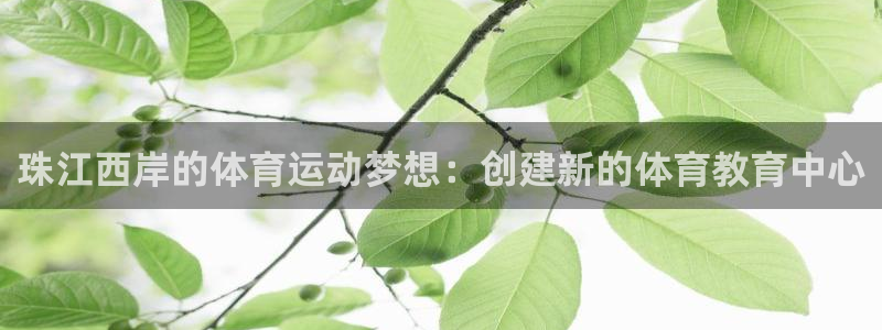 凯发官网下载招商电话地址查询：珠江西岸的体育运动梦想