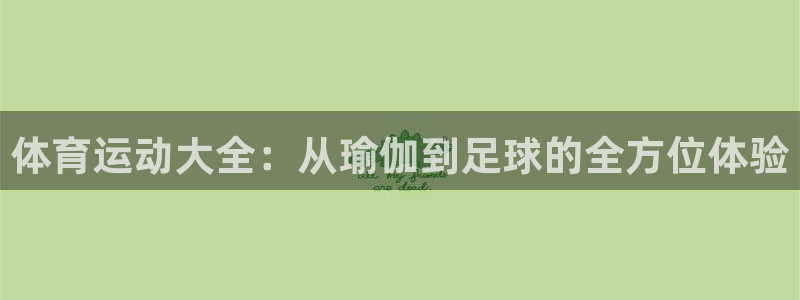 海南凯发官网下载：体育运动大全：从瑜伽到足球的全方位