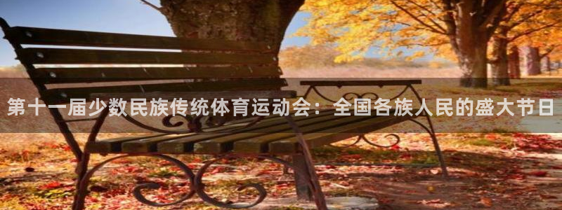 凯发官网下载平台注册：第十一届少数民族传统体育运动会：全国各