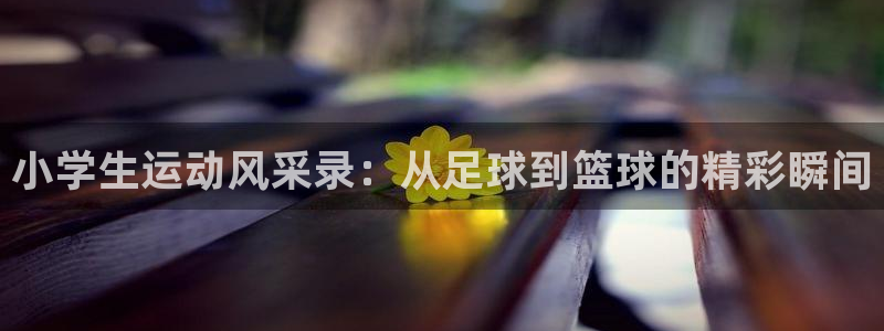凯发官网下载平台是正规平台吗安全吗：小学生运动风采录：从足球