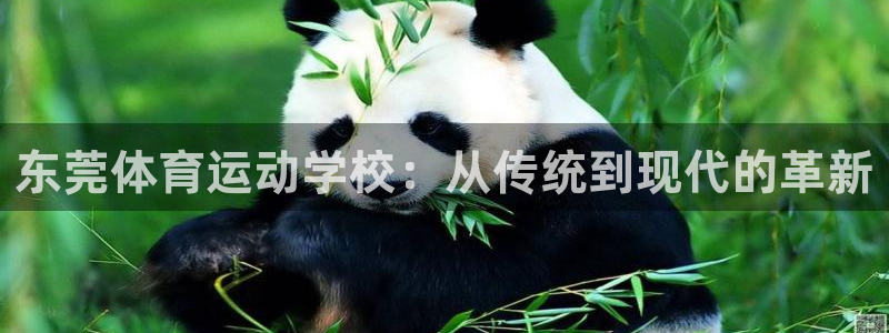 凯发官方正版app娱乐40996：东莞体育运动学校：从传统到