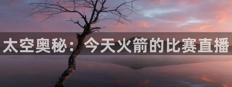 新球体育网球比分