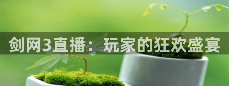 新球体育完整版