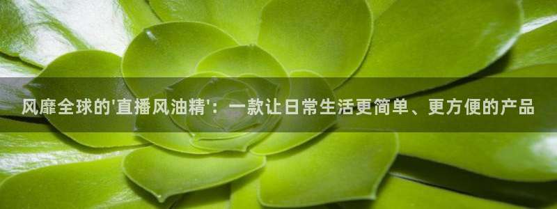新球体育比分网