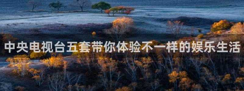 新球体育网球比分