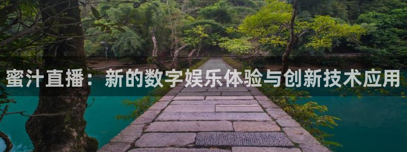 新球体育网球比分