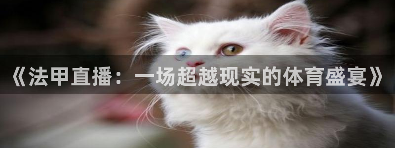 新球赛直播：《法甲直播：一场超越现实的体育盛宴》