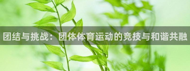 k8凯发app官网：团结与挑战：团体