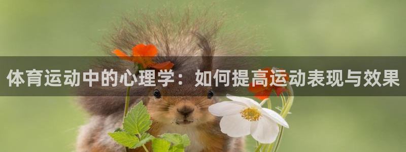凯发k8旗舰店：体育运动中的心理学：