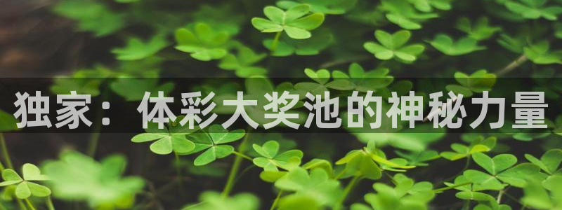 新体球即时比分新球体育：独家：体彩大奖池的神秘力量